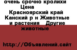 очень срочно кролихи › Цена ­ 1 800 - Красноярский край, Канский р-н Животные и растения » Другие животные   